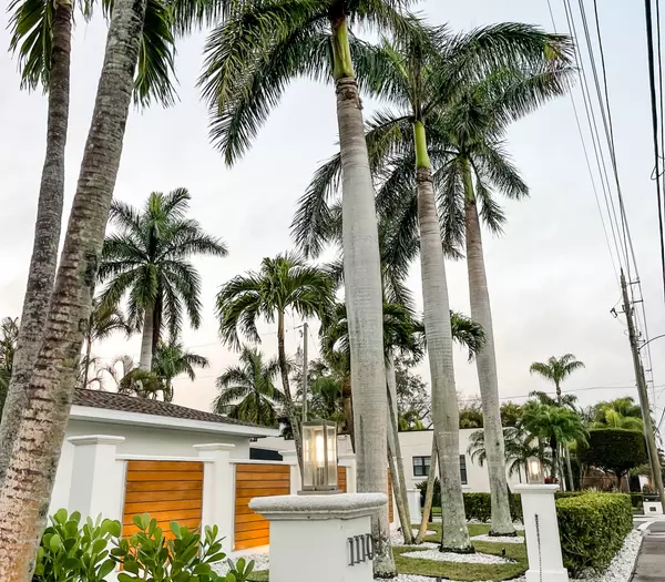 palm trees Sarasota real estate