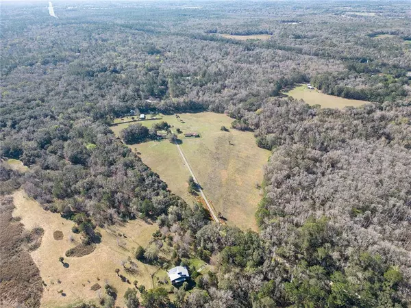 17716 WHITING ST, Micanopy, FL 32667