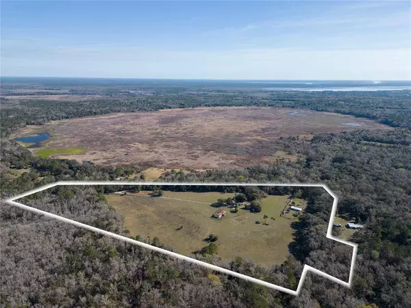 17716 WHITING ST, Micanopy, FL 32667