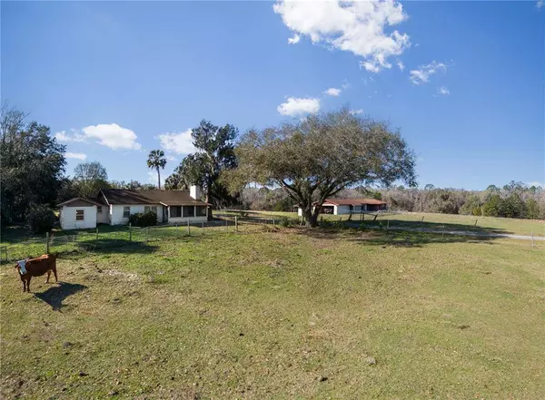 17716 WHITING ST, Micanopy, FL 32667