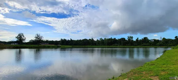 36149 WESTIN RIDGE DR, Geismar, LA 70734