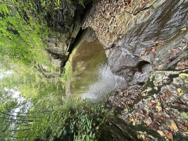 345 Pekin LN, Wilmore, KY 40390