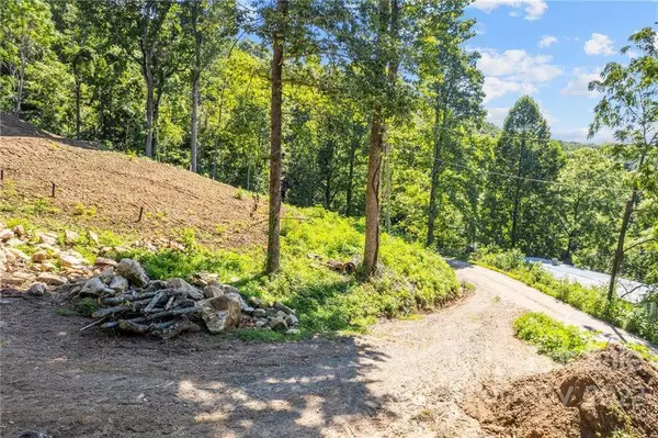 673 Mountain Cove RD, Hendersonville, NC 28792