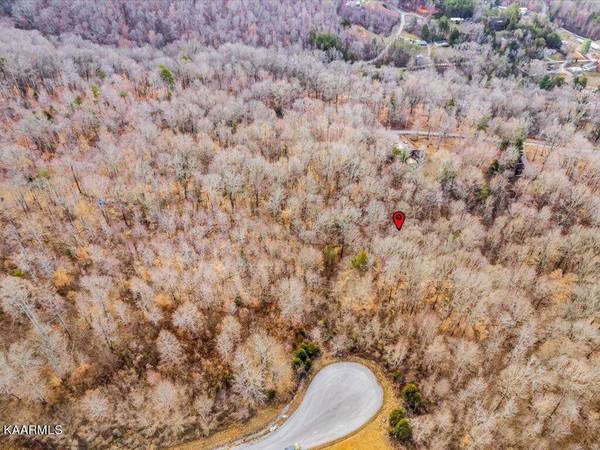 Lot 244 Tanzanite Tr, New Tazewell, TN 37825