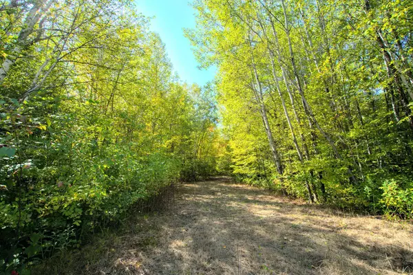 4573 475th ST, Isle, MN 56342