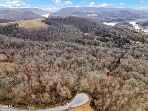 Lot 244 Tanzanite Tr, New Tazewell, TN 37825