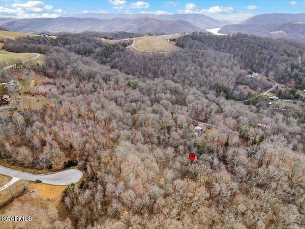 Lot 244 Tanzanite Tr, New Tazewell, TN 37825
