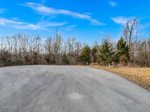 Lot 243 Tanzanite Tr, New Tazewell, TN 37825