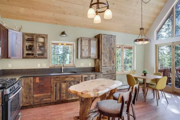 127 S Rons Road, Alma, CO 80420