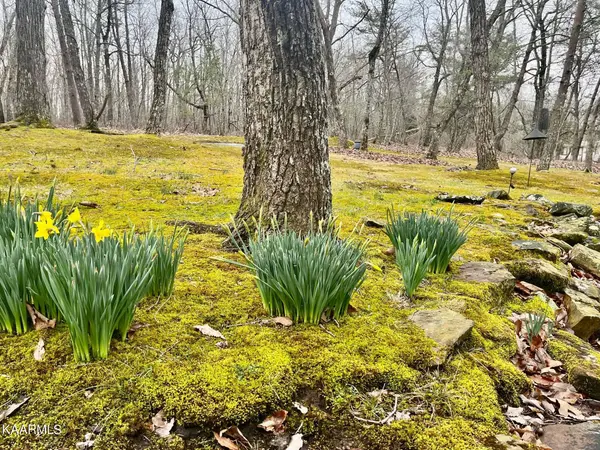 247 Kings Down DR, Crossville, TN 38558