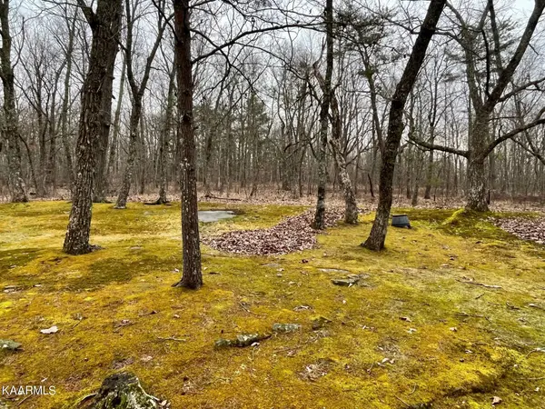 247 Kings Down DR, Crossville, TN 38558