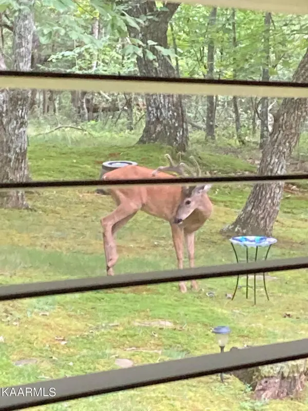 247 Kings Down DR, Crossville, TN 38558