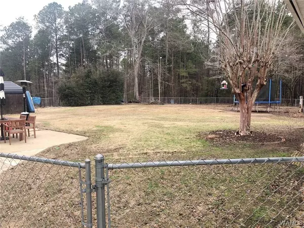 11227 LIGHTHOUSE RD, Northport, AL 35475