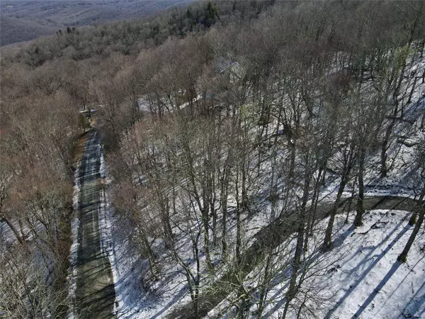 tbd Spice Bottom TRL, Banner Elk, NC 28604