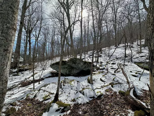 tbd Spice Bottom TRL, Banner Elk, NC 28604