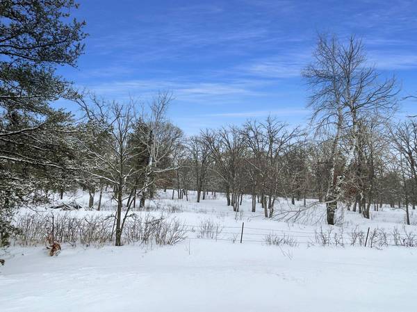 TBD 28th AVE SW, Backus, MN 56435