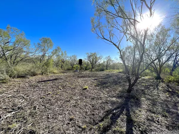 1175 Lilly Bear Ln, Moore, TX 78057