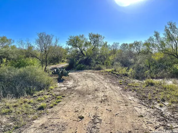 1175 Lilly Bear Ln, Moore, TX 78057