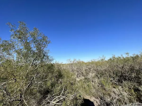 1175 Lilly Bear Ln, Moore, TX 78057