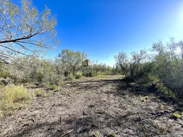 1175 Lilly Bear Ln, Moore, TX 78057