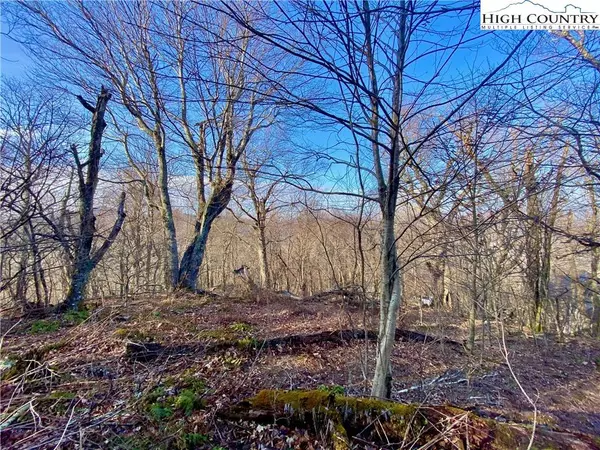 TBD Spice Bottom TRL, Banner Elk, NC 28604