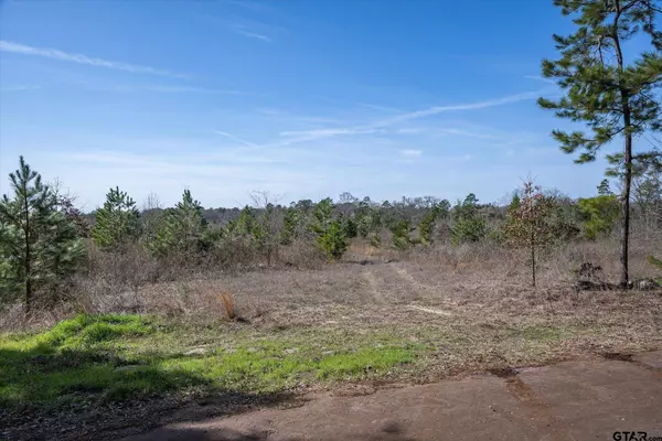 CR 4104, Lindale, TX 75771