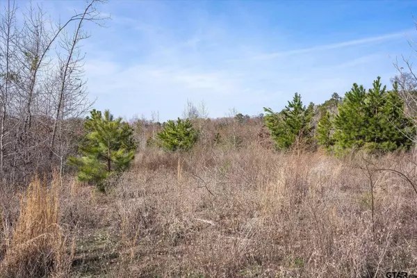 CR 4104, Lindale, TX 75771