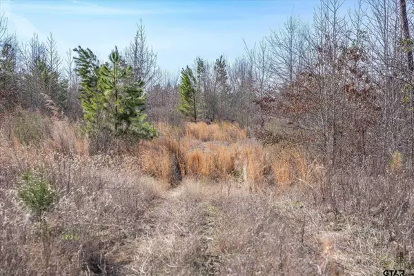 CR 4104, Lindale, TX 75771