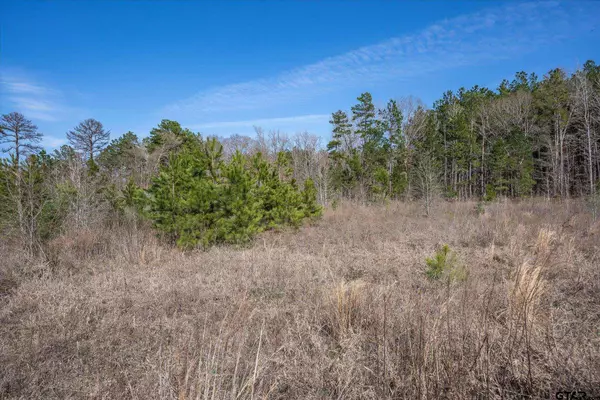 CR 4104, Lindale, TX 75771