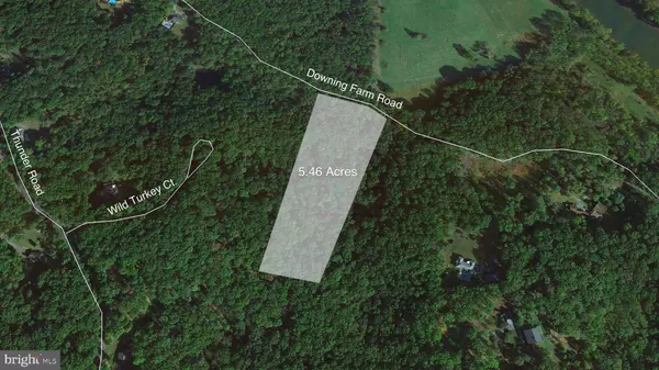 DOWNING FARM RD, Front Royal, VA 22630