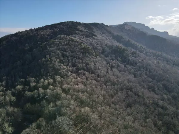 16/17 Spice Bottom TRL #16/17, Banner Elk, NC 28604