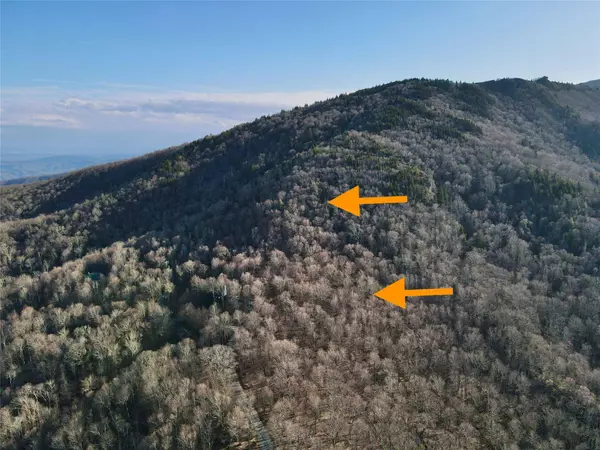 16/17 Spice Bottom TRL #16/17, Banner Elk, NC 28604