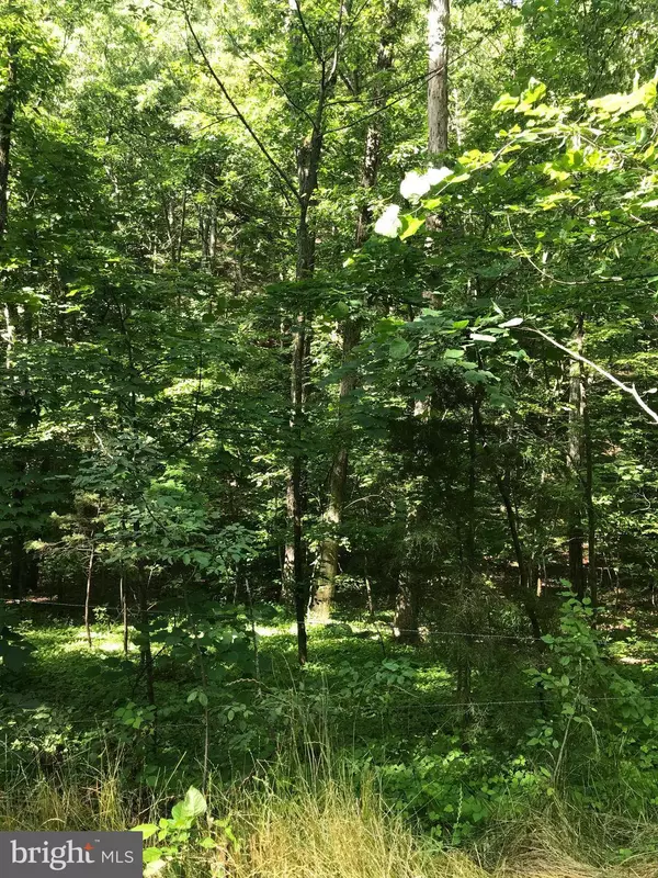 DOWNING FARM RD, Front Royal, VA 22630