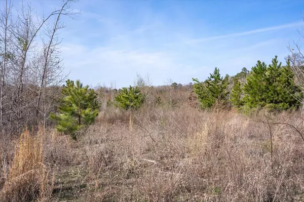 TBD County Road 4104, Lindale, TX 75771