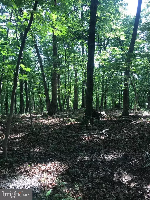 DOWNING FARM RD, Front Royal, VA 22630