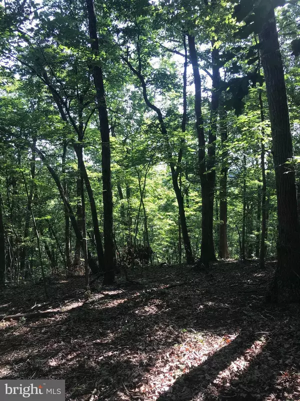 DOWNING FARM RD, Front Royal, VA 22630