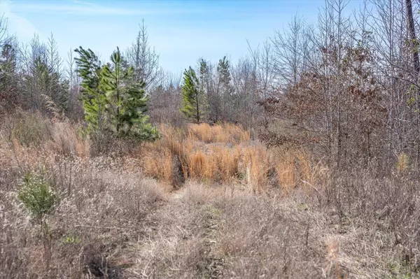 TBD County Road 4104, Lindale, TX 75771