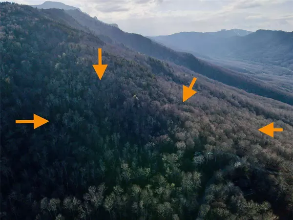 16/17 Spice Bottom TRL #16/17, Banner Elk, NC 28604