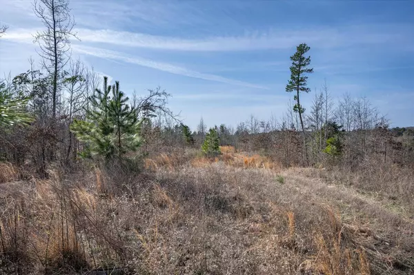 TBD County Road 4104, Lindale, TX 75771