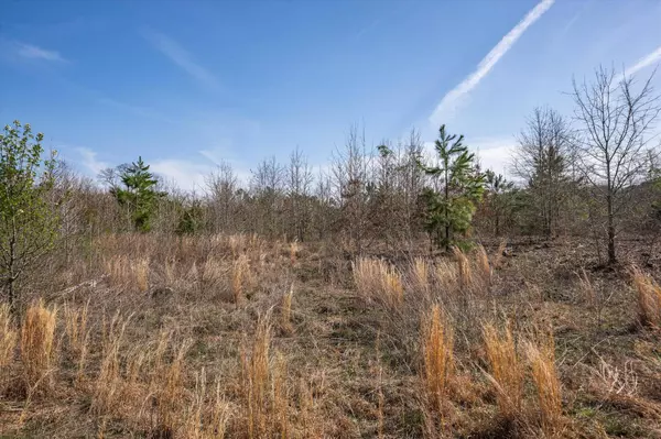 TBD County Road 4104, Lindale, TX 75771