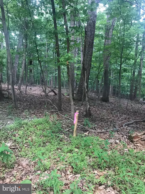 DOWNING FARM RD, Front Royal, VA 22630