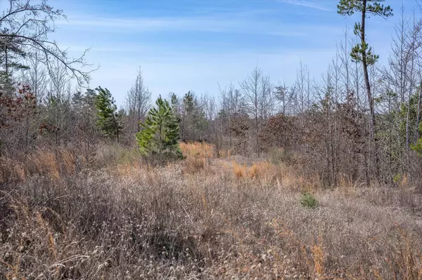 TBD County Road 4104, Lindale, TX 75771