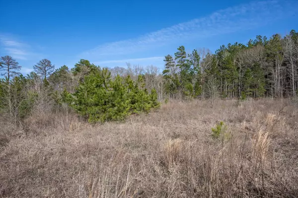 TBD County Road 4104, Lindale, TX 75771