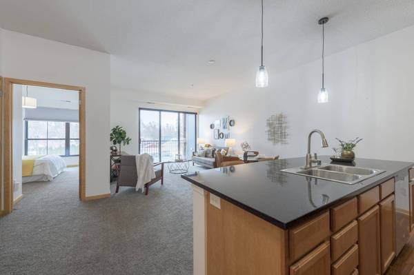 4525 Park Commons DR #316, Saint Louis Park, MN 55416