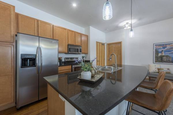 4525 Park Commons DR #316, Saint Louis Park, MN 55416