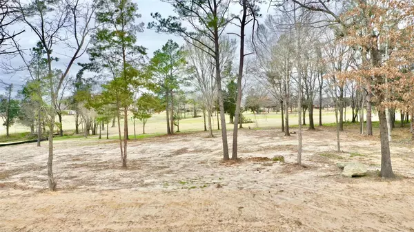 72 Ryder Cup Trail, Hideaway, TX 75771