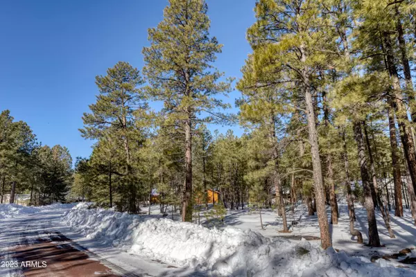 7184 MOON CREEK Circle #20, Pinetop, AZ 85935