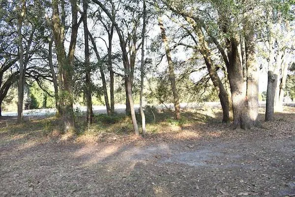 120 Oakview Cr., Manning, SC 29102