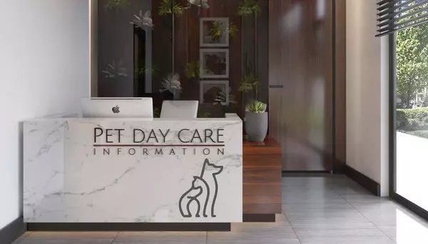 Pet Day Care
