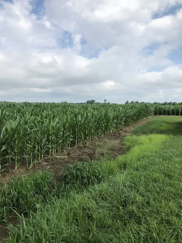 2112 E 2100 North RD, Watseka, IL 60970